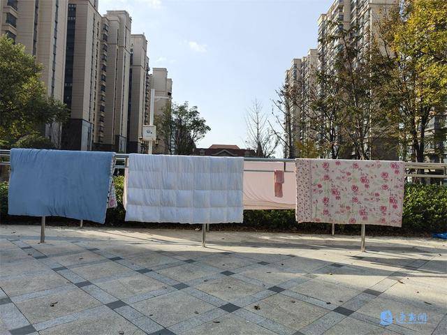 区丨共享晾衣架晒出“幸福感”k8凯发国际登录百名记者进小